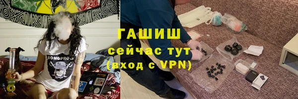 индика Алзамай