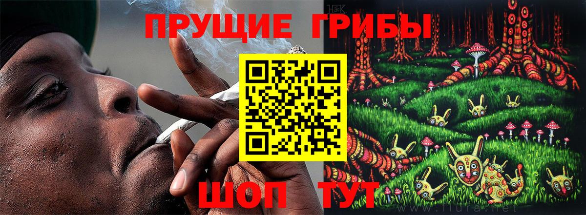 Галлюциногенные грибы мухоморы Лесосибирск